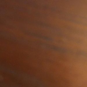 Meet your Posher, Marilyn